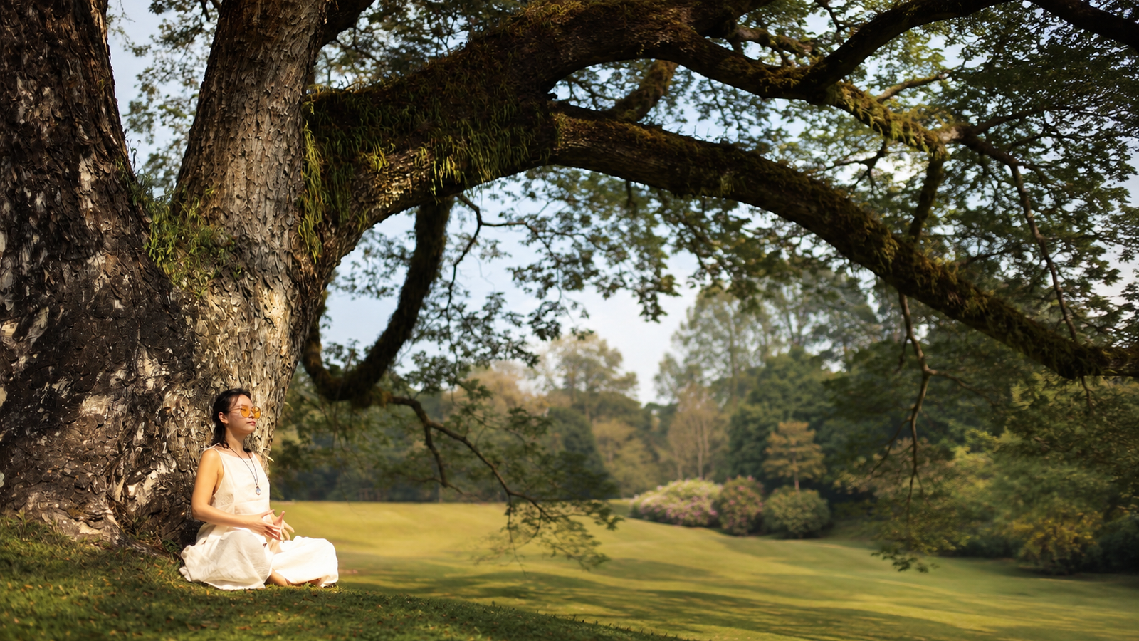 Di Lan in a meditative field